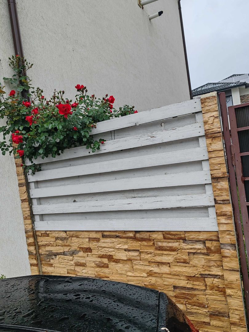 Apartament 3 camere/Două bai/curte proprie și parcare - Poză 8