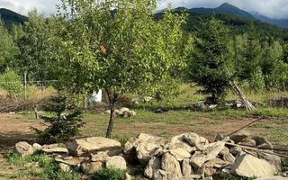 Teren Intravilan | 820 MP | Viștișoara | Vedere Spre Munte - Poză 7