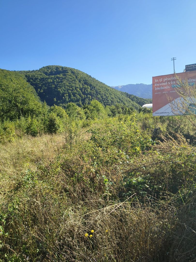 Vand Teren intravilan - Poză 11