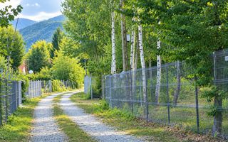 TEREN INTRAVILAN 744 MP | VALEA AVRIGULUI | IDEAL PENTRU CABANĂ - Poză 8