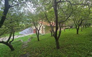 Casa individuala 4 camere teren 3825 mp Cisnadioara - Poză 29