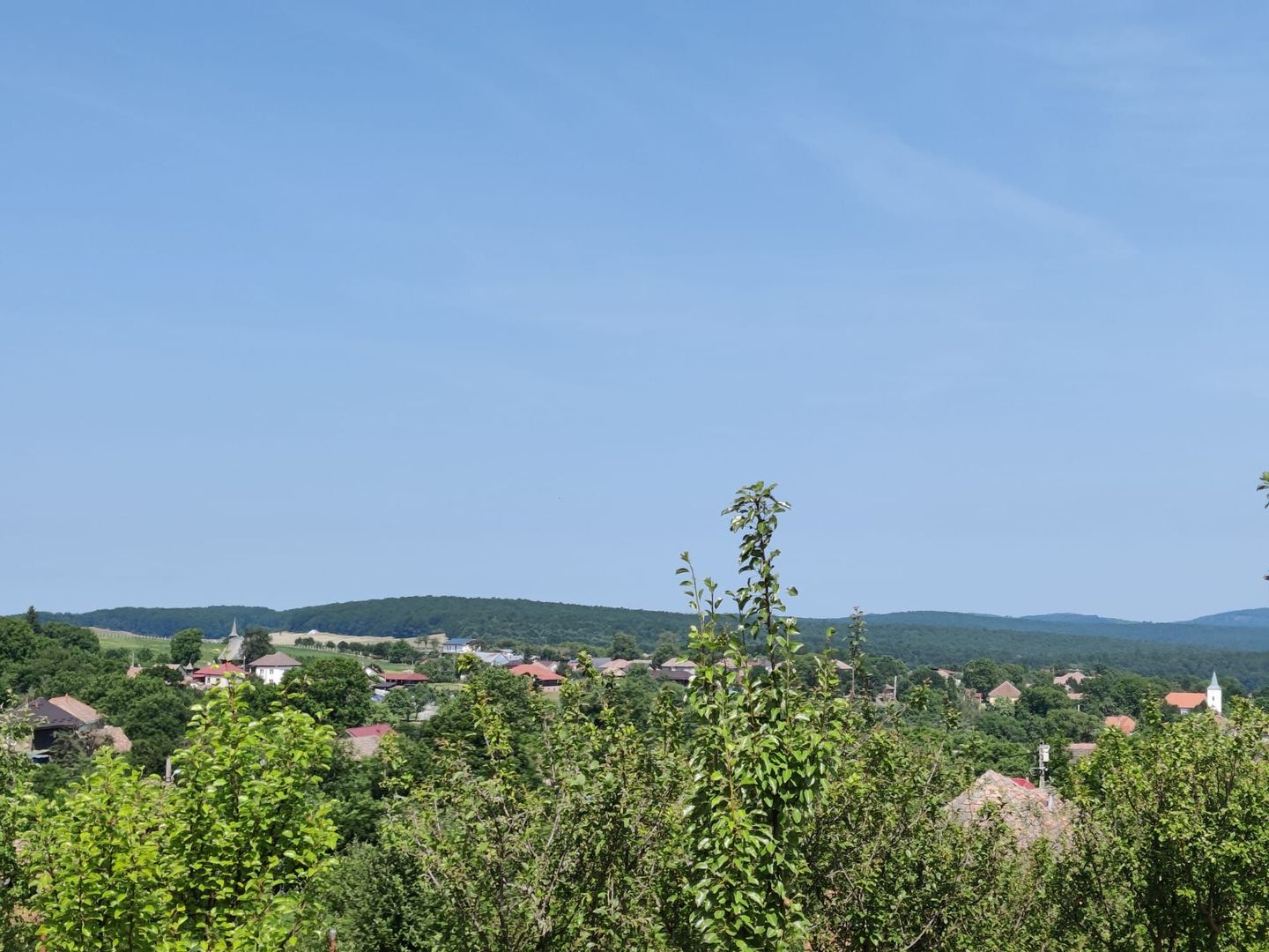 Casa individuala cu teren de 5000 mp, Deusu - Poză 1