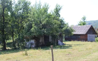 Terenuri Carpinis I parcelabil I Curent pe proprietati - Poză 37