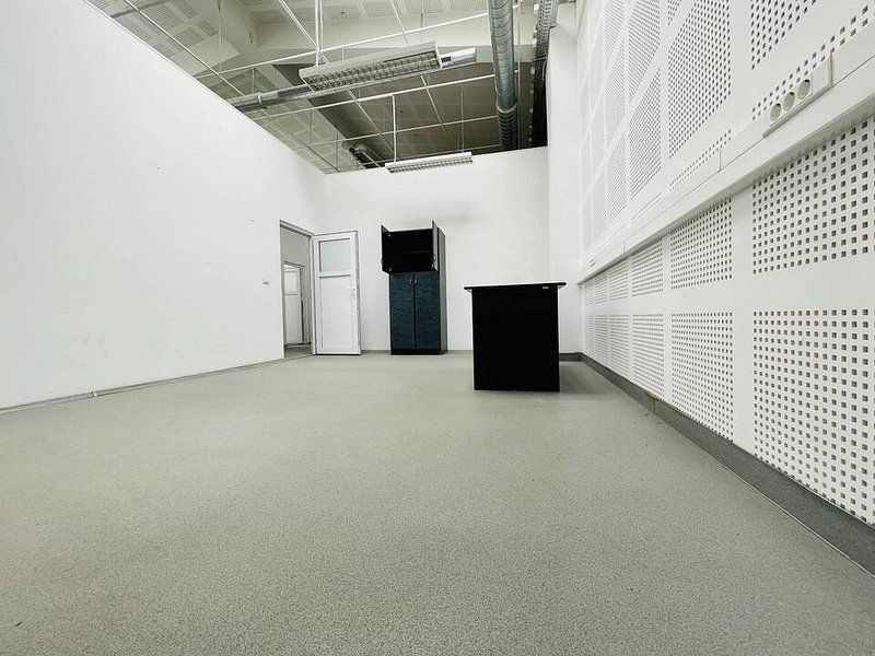 Spatiu pentru birouri in zona Take Ionescu - Poză 7