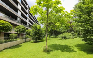 Rahmaninov Residence | 4 Camere cu Vedere Panoramică - Poză 12