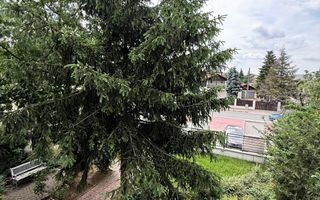 Vila/Spatiu comercial Bd Pipera - Poză 4