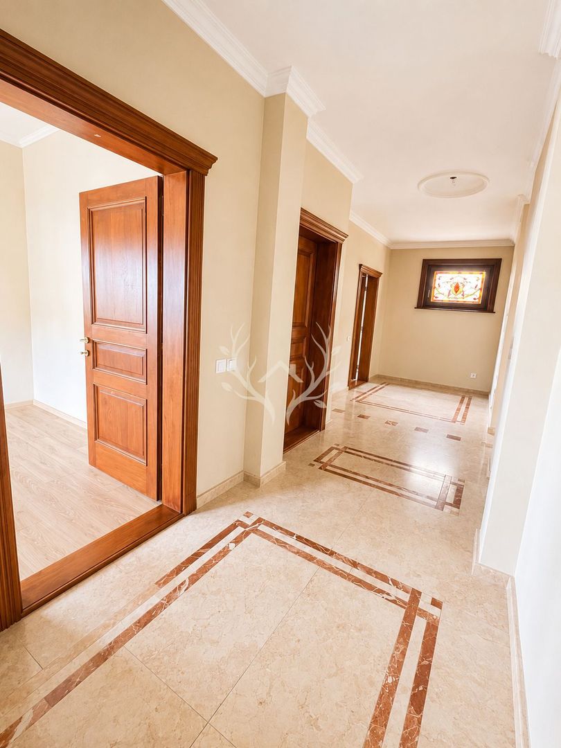 Casa individuala 500 mp | Birouri, Clinica, Servicii | Grigorescu - - Poză 14