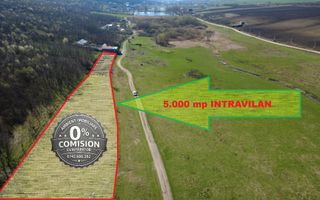 TEREN INTRAVILAN 5.000 mp, VASLUI - zona LAC DELEA; - Poză 1