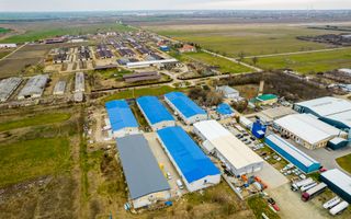 Hală de închiriat Calea Bodrogului 1.000mp - Poză 9