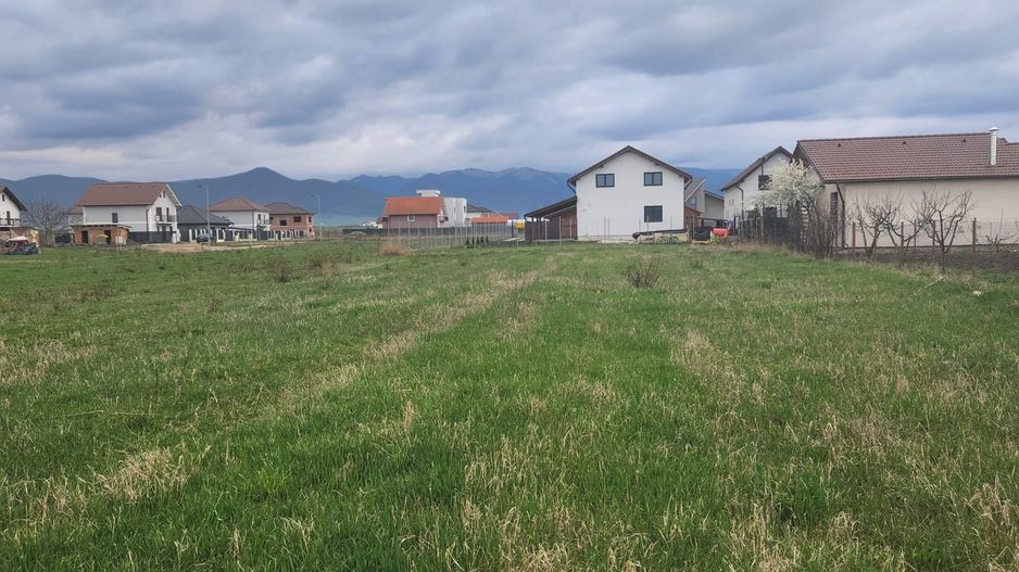 Teren generos intravilan constructii - Cristian - Sibiu - Poză 7