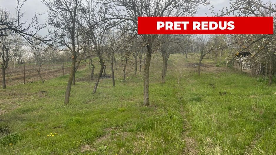 Teren intravilan 2.200 mp cu constructie existenta –Calinesti- Vranesti-Arges! - Poză 1