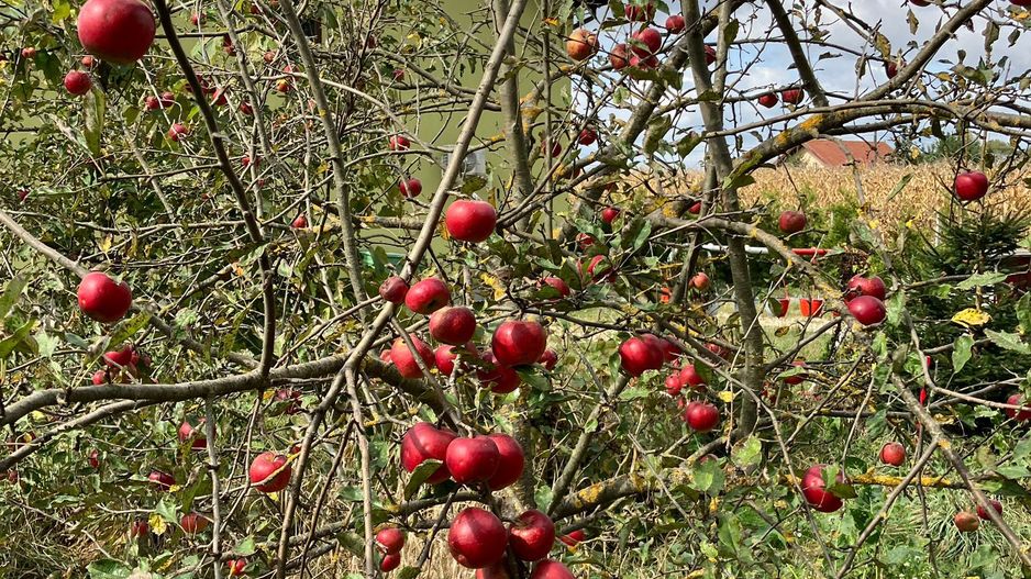 Casa in zona Lunca Marcusului - Poză 6