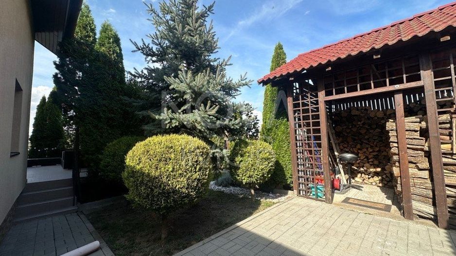 Casa individuala de vanzare - Sura Mare - Poză 3