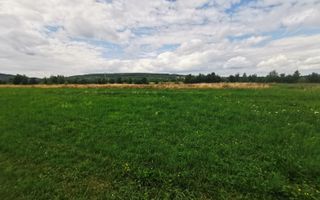 Teren Intravilan | 2.200 mp | Vicovu de Sus - Poză 2