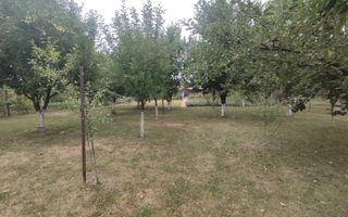 Sanadrei, Casa individuala, Suprafata teren generos, Garaj, terase si anexe - Poză 3