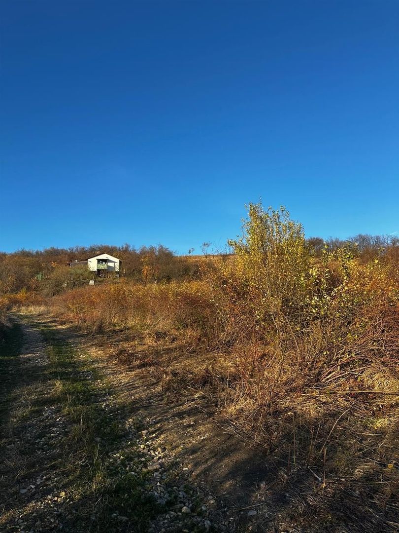Teren intravilan lacul Hanul Pescarilor - Poză 2