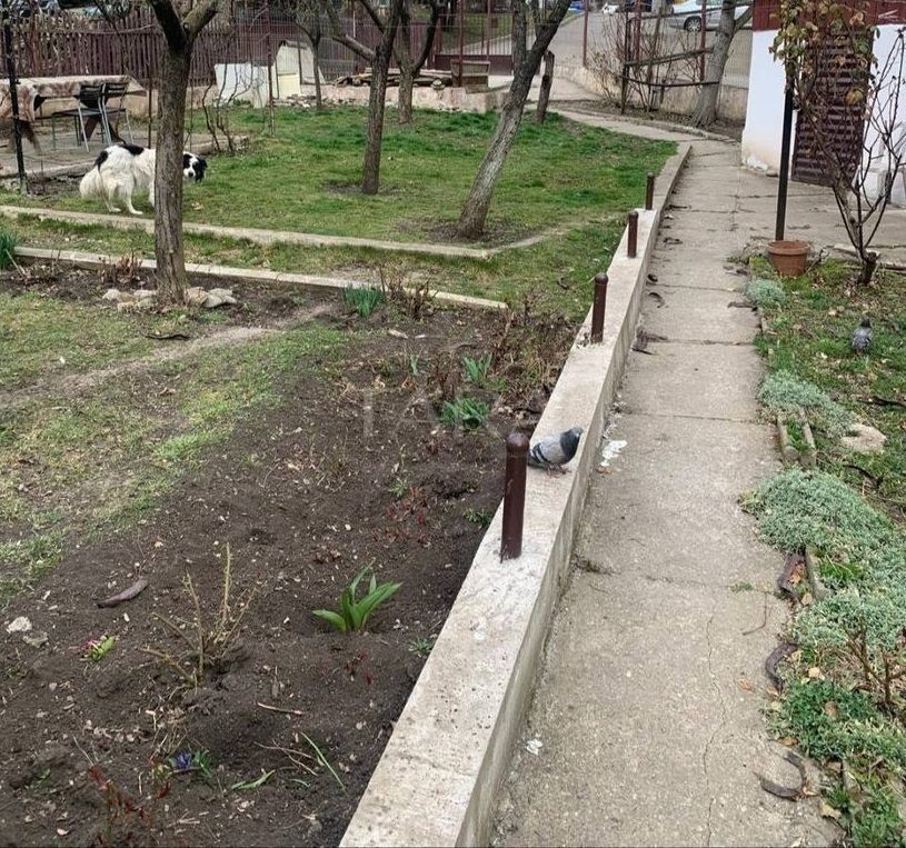 Oportunitate rară! Casă cu teren generos în zona Grand Hotel Italia - Poză 2