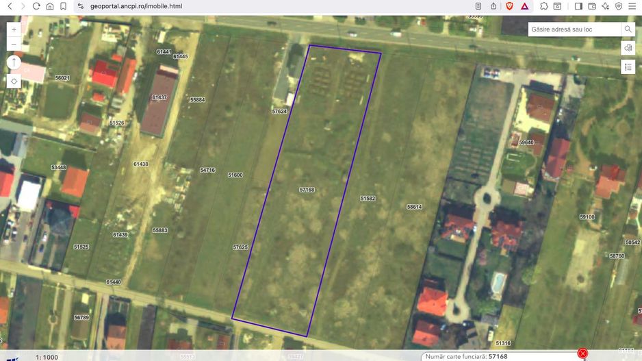 Teren intravilan construibil 7.500 mp Ciorogarla Ilfov - Poză 1