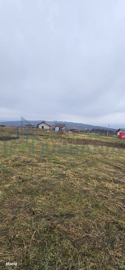 Teren intravilan 656 mp + acces, lângă pădure – Chicerea - Tomești - Poză 1