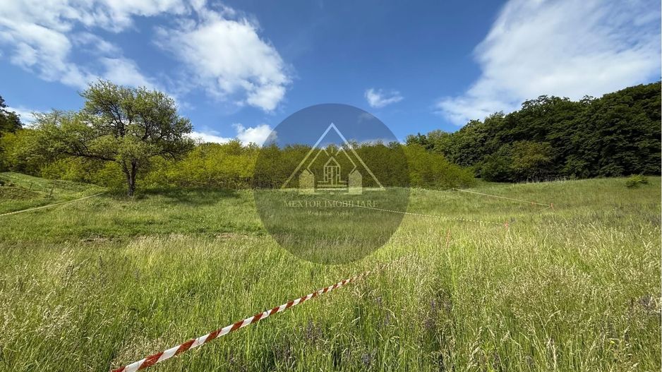 Teren de casa cu PUZ, Mosnei - Poză 7