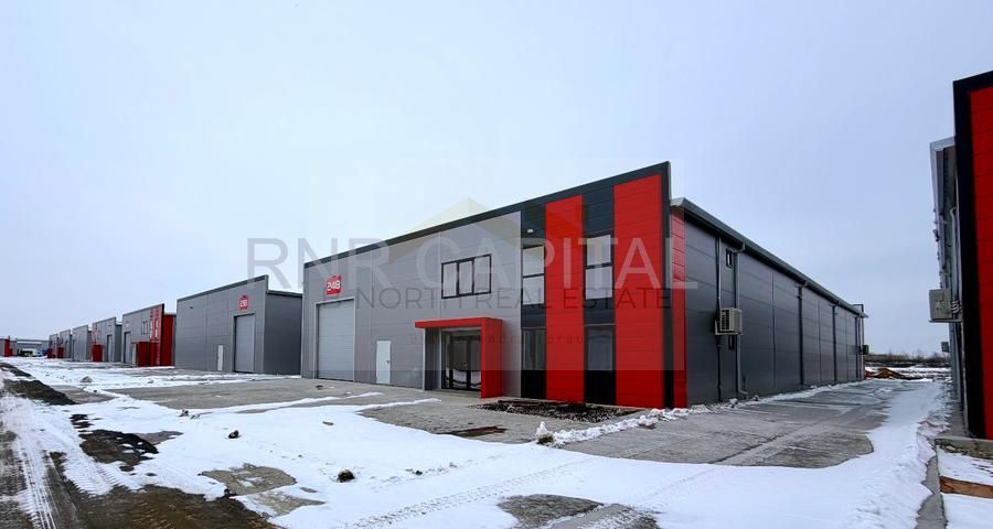 Închiriere hale noi 2025 – 1.000 mp/hala, acces TIR, Centura București – Chiajna - Poză 1