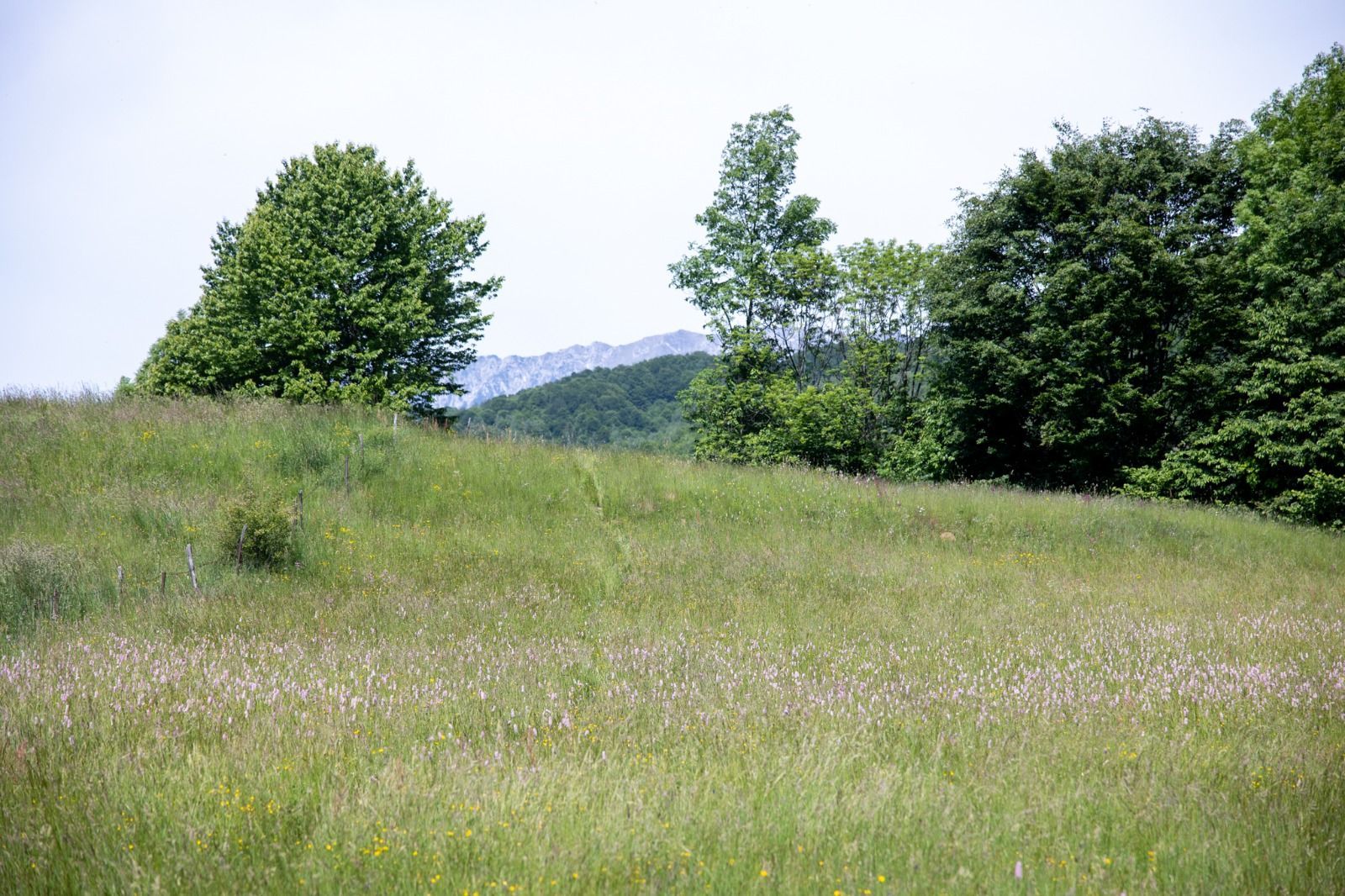 Teren intravilan - 1.050 mp în Bran cu utilitati – priveliște Bucegi - Poză 7