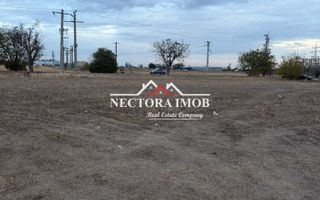 NECTORA IMOB-Teren Intravilan Industrial la sosea,2x2000 mp, Utilitati - Poză 6