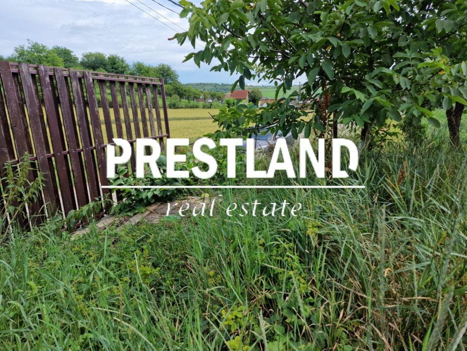 Teren intravilan construcții in Șura Mare. - Poză 5