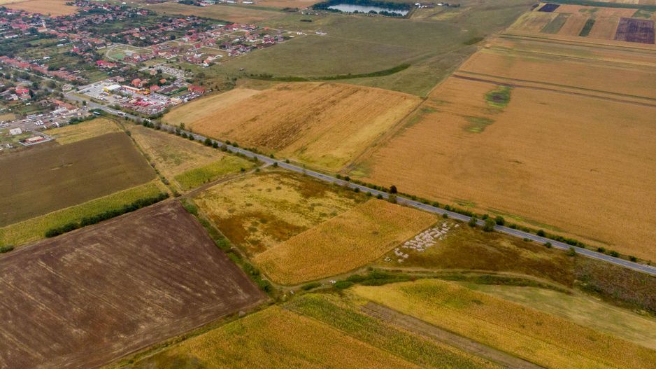 Teren de 19798mp în Zimandu Nou - Poză 11