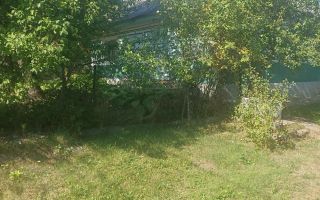Casă tradițională de 50 mp și anexe pe teren de 2200 mp în sat Topile, Pașcani - Poză 3