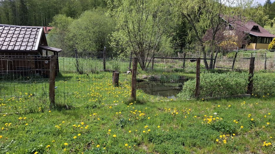 URGENT!, vila de exceptie, concept ultramodern, NELOCUITA, NEGOCIABIL - Poză 7