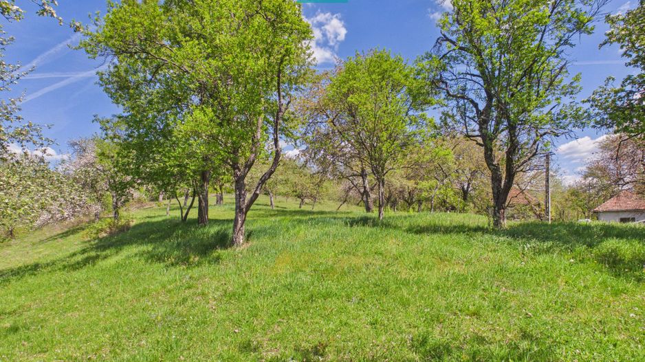 Proprietate rară cu 24.270 mp, în Măgulicea, Arad! - Poză 29