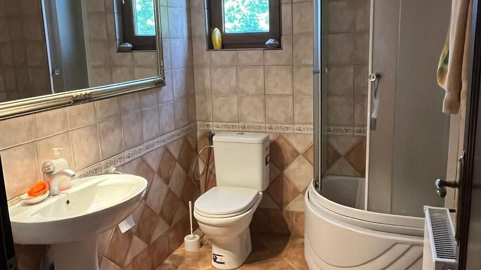 Casă elegantă, spațioasă, ideală pentru familie – Sanmihaiu Roman - Poză 12