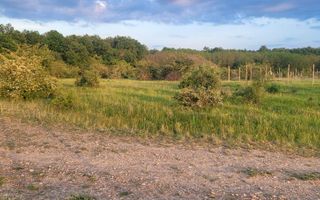 Teren intravilan in Gepiu - Poză 1