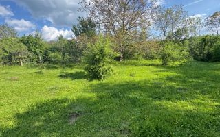 TEREN INTRAVILAN 2943 MP CAMPULUNG - Poză 9