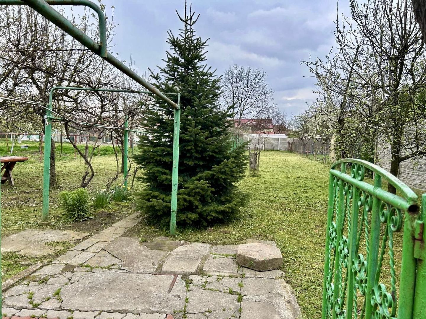 TEREN GENEROS 1000 MP - Poză 4