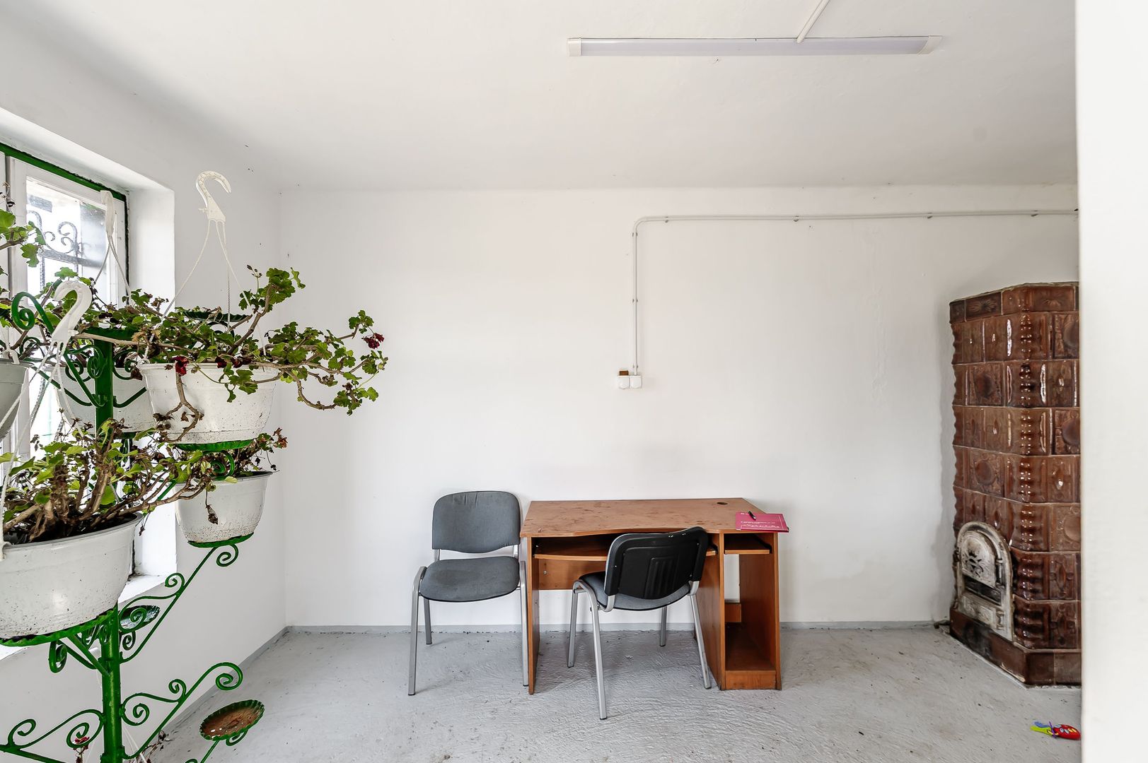 Teren intravilan cu potential multiplu in Horia - Poză 3