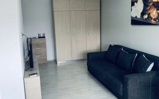 De inchiriat apartament cu o camera Centru, 280 euro - Poză 2