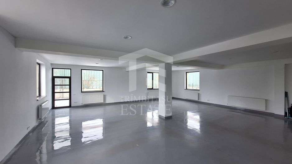 Spatiu Comercial Stradal P+Etaj - 440 Utili - Teren 765 mp - Parcare - Poză 13