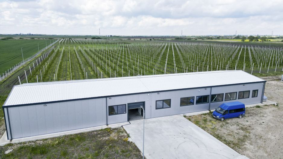 Oportunitate investiție: Livadă de Cireși și Hală - Poză 4