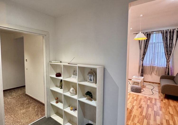 Inchiriere 3 camere, RIN Grand Residence Vitan, decomandat, Petfriendly - Poză 3