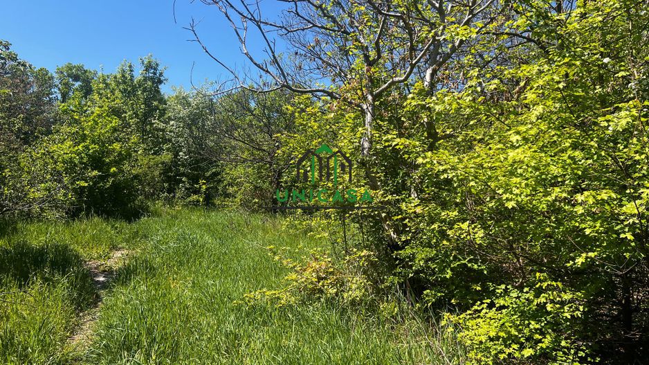 Teren intravilan/934 mp/Lenin Sud - Poză 1