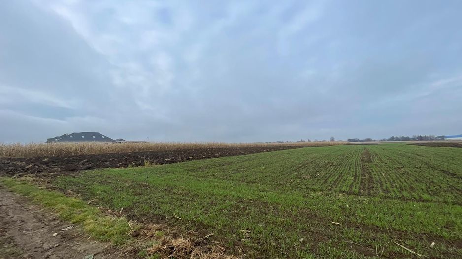 TEREN EXTRAVILAN 13 ARI | FRONT STRADAL 13 M | MARGINEA - Poză 4