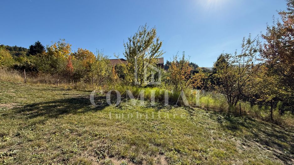 Teren intravilan Făget | 1.490 mp | Front 15 ml | Toate utilitățile - Poză 8
