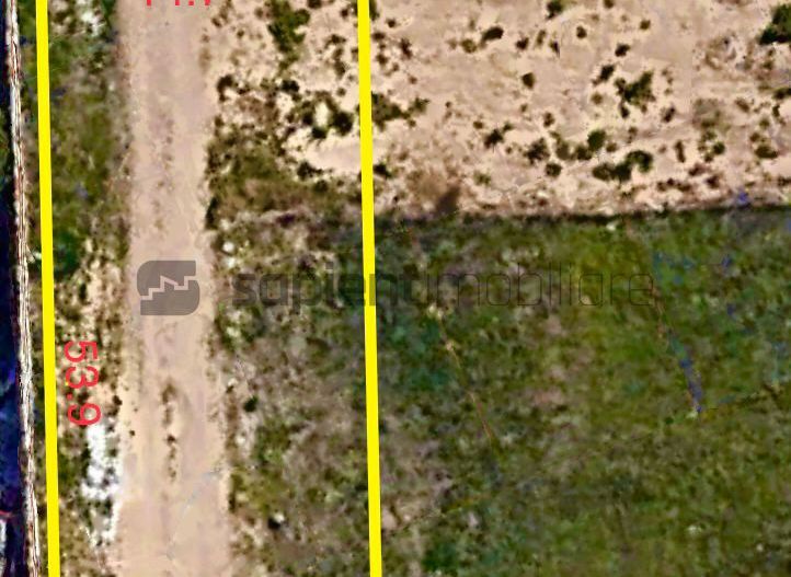 Sapient | Parcele pe str. Plantelor ,Episcopia - Poză 2