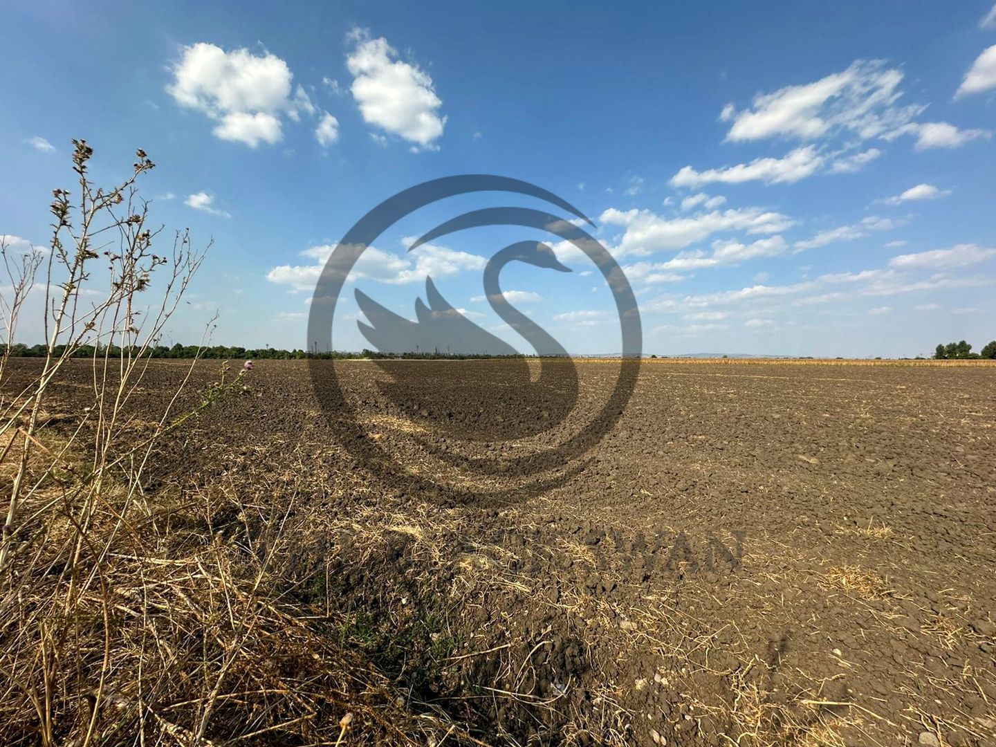 Teren extravilan de vanzare | 9882mp | Berceni - Prahova | Comision 0% - Poză 7