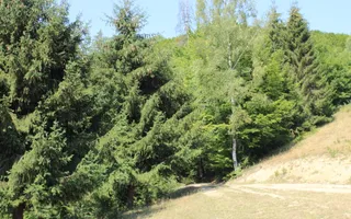 Terenuri Carpinis I parcelabil I Curent pe proprietati - Poză 49