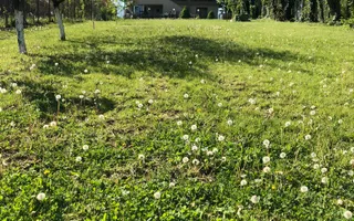 Vilă spectaculoasă cu vedere la lac Balotesti - laguna Verde - Poză 30