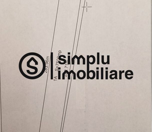 Teren Intravilan Carcea - Schiță 1