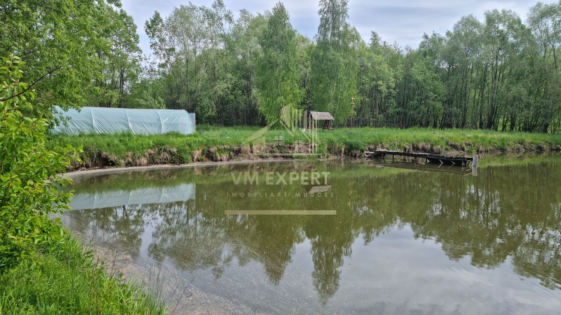 CASA 3 CAMERE, TEREN 6200 MP + 2 LACURI, CAMPULUNG, NAMAIESTI - Poză 24